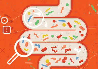 Cartoon of the gut with different colored bacteria and a magnifying glass hovering over part of the gut.
